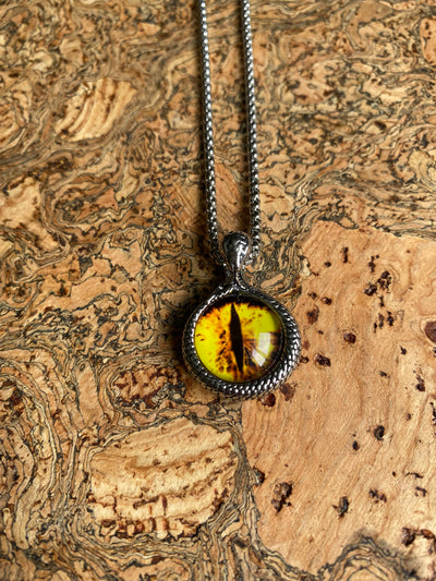 Pagan Necklace - The Serpents Eye